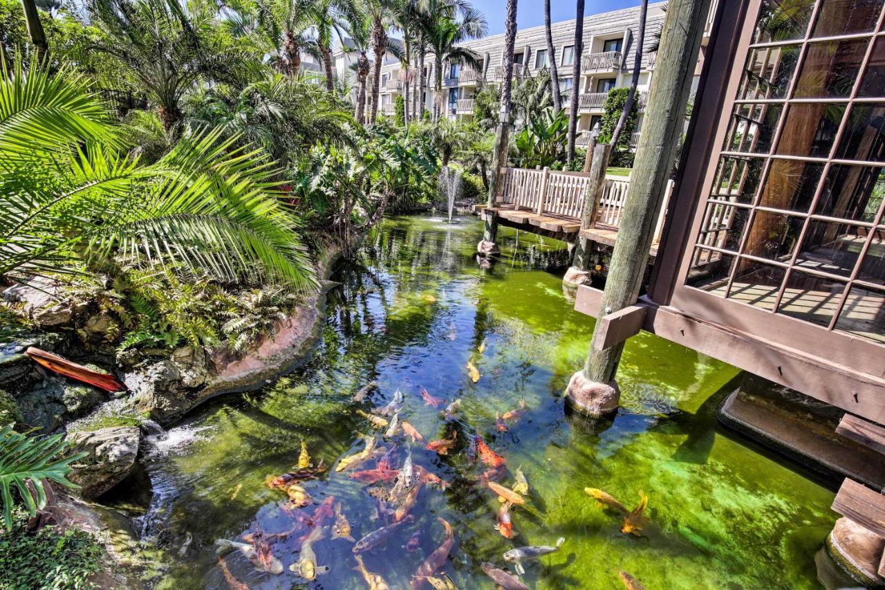 Charming Oceanside Condo With Beach And Pool Access! Exterior photo
